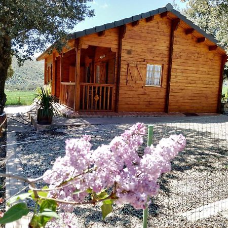 Willa La Casa Del Estanque Olocau del Rey Zewnętrze zdjęcie