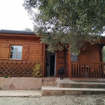 Willa La Casa Del Estanque Olocau del Rey Zewnętrze zdjęcie