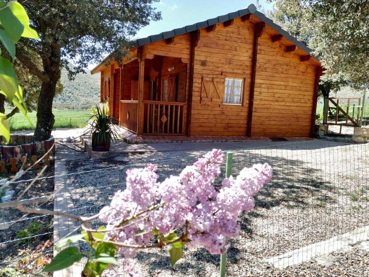 Willa La Casa Del Estanque Olocau del Rey Zewnętrze zdjęcie